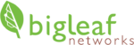 Bigleaf